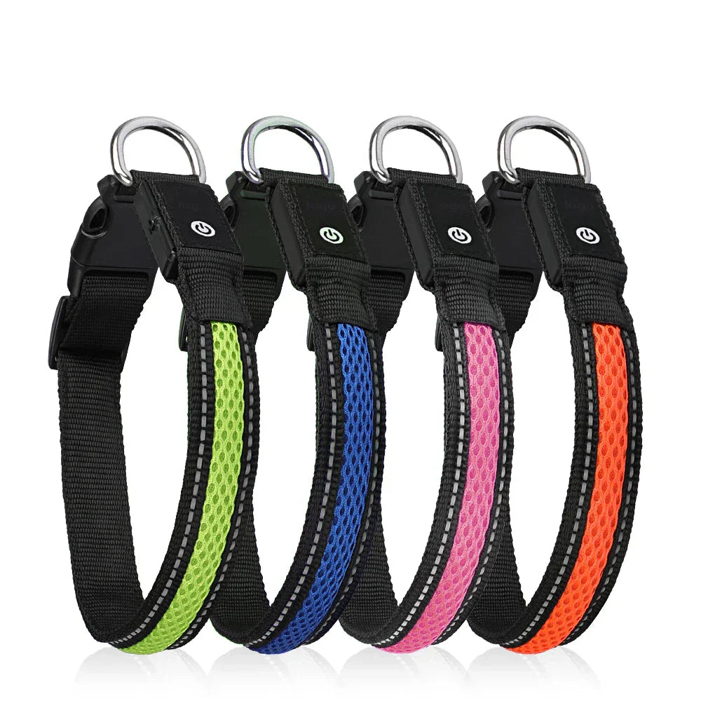 Paws & Claws Luminous Pet Collar