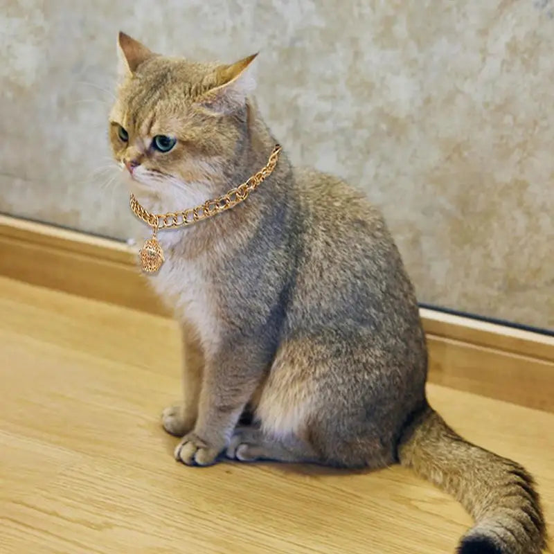 Paws & Claws Cat Chain Collar with Bell
