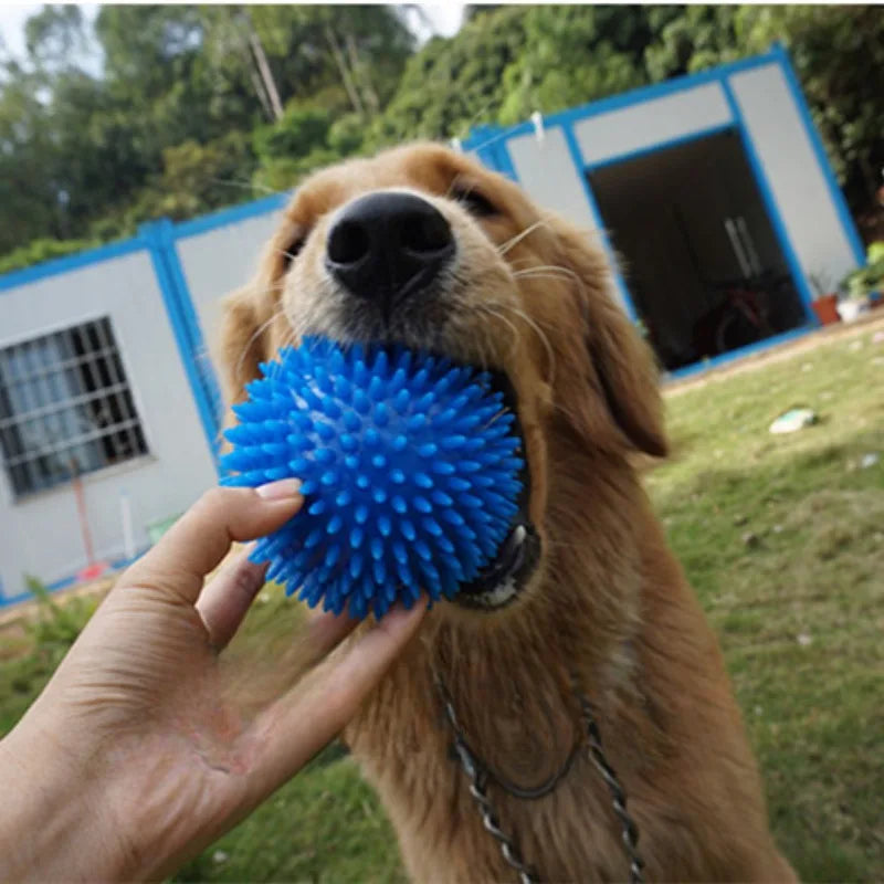 Paws & Claws Squeaky Tooth Cleaning Ball
