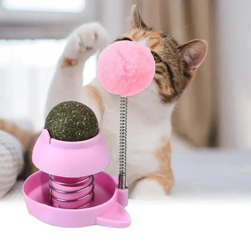 Paws & Claws Catnip Wall Ball Cat Toys