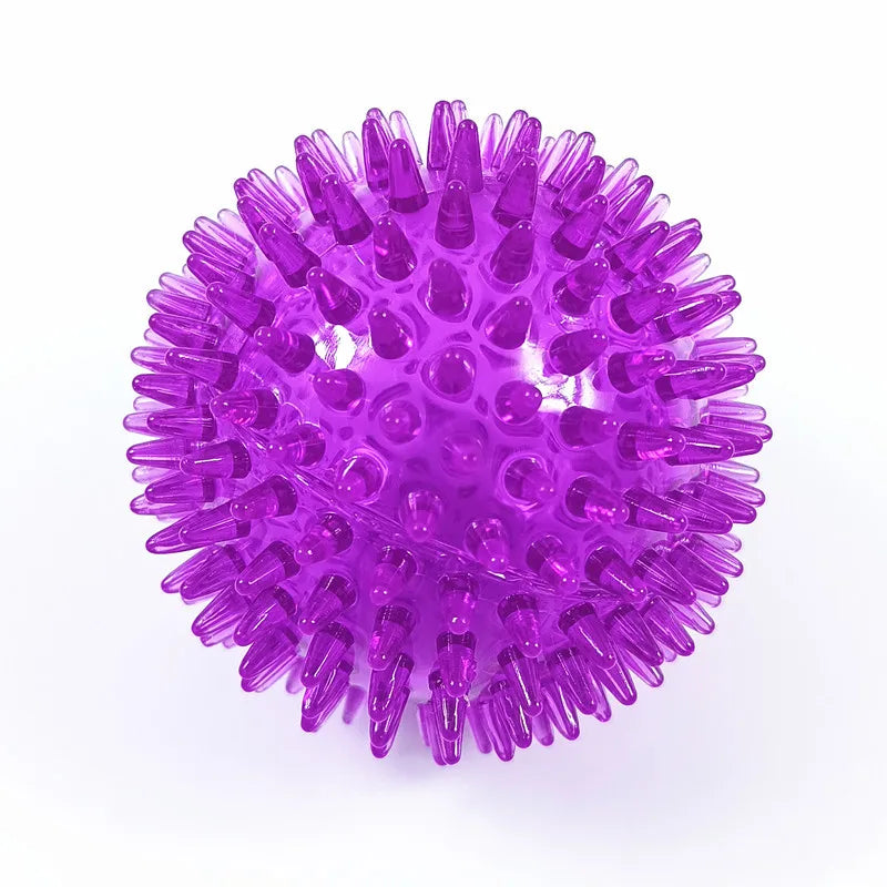 40511330812017|40511330844785