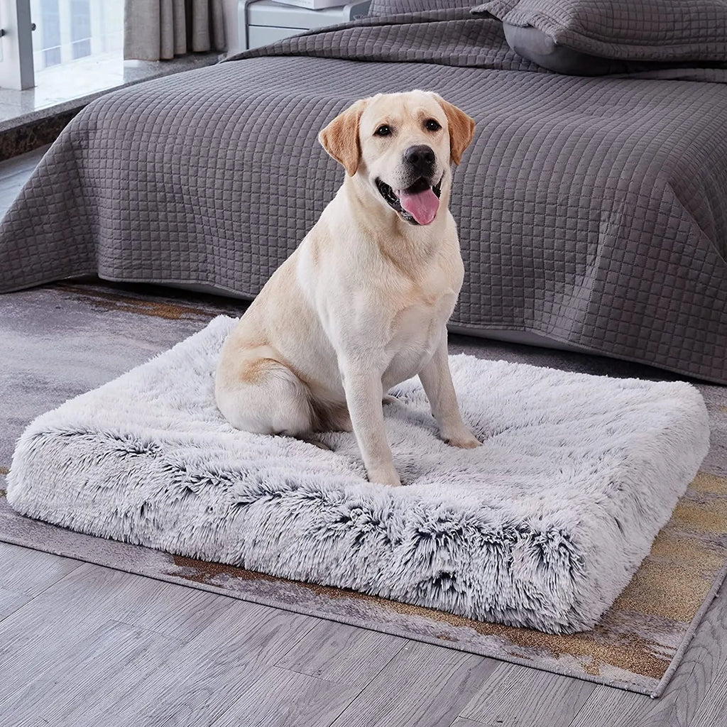 Paws & Claws Orthopedic Pet Bed Mat