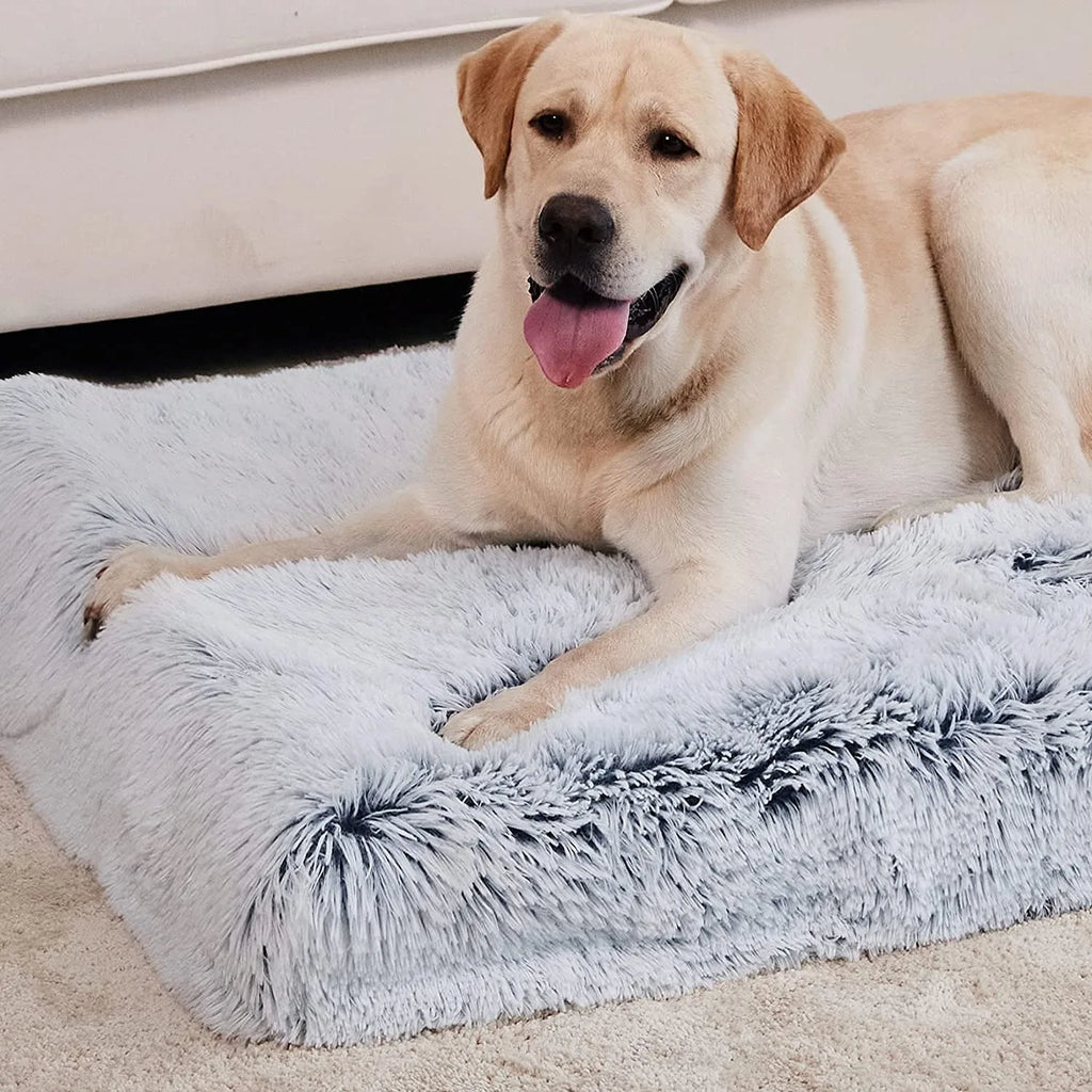 Paws & Claws Orthopedic Pet Bed Mat