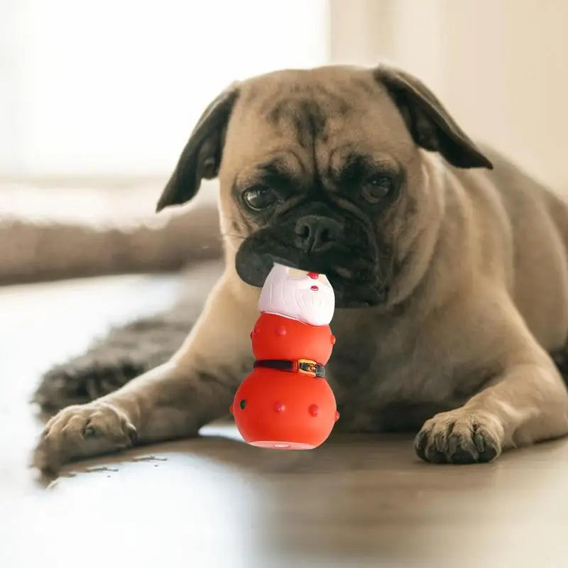 Paws & Claws Squeaky Dog Chew Toy